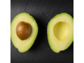 avocado-fresh-small-1