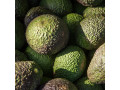 avocado-fresh-small-0