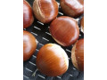 rezervacije-u-toku-za-jesenju-sadnju-vocnih-sadnica-small-4