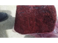 visnja-small-4