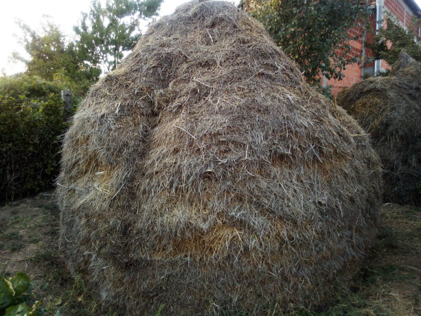 prodajem-seno-lucerku-i-mesano-seno-big-0