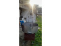 prziona-small-0