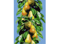 stubaste-sadnice-voca-small-1