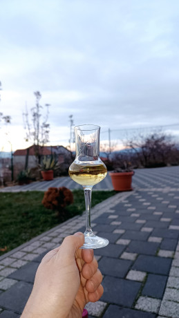 rakija-od-sljive-big-1