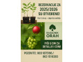 otvorene-rezervacije-za-kalemljeni-orah-sadnice-voca-i-vinove-loze-sezona-20252026-small-0