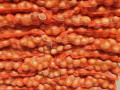 crni-i-beli-luk-na-veliko-small-1