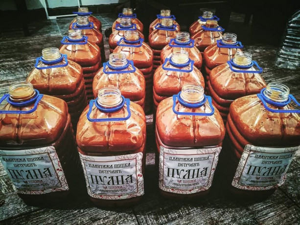 usluge-pasiranja-voca-i-povrca-big-0