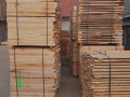 lipa-lipova-daska-small-0