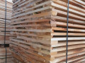lipa-lipova-daska-small-1